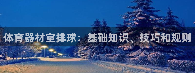 耀世娱乐官方网站：体育器材室排球：基础知识、技巧和规
