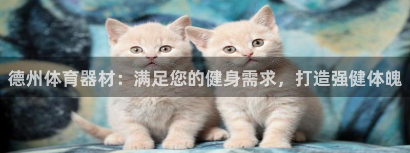 耀世挑战怎么过：德州体育器材：满足您的健身需求，打造