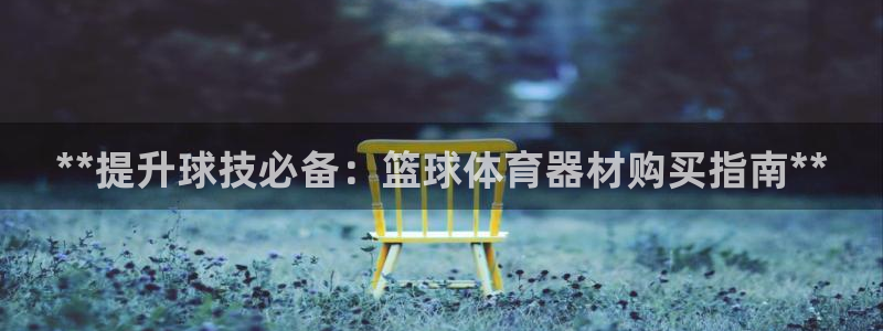 耀世盛典手游下载官网：**提升球技必备：篮球体育器材