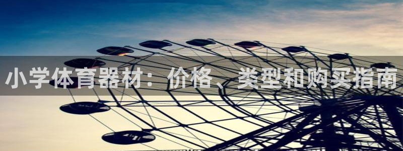 耀世第二关：小学体育器材：价格、类型和购买指南