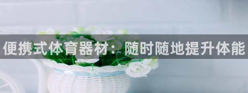 耀世挑战攻略：便携式体育器材：随时随地提升体能