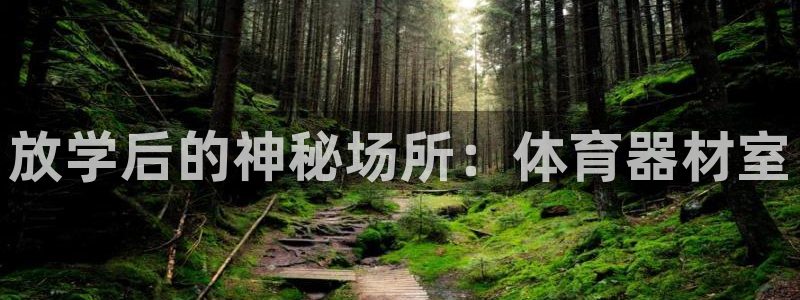 耀世娱乐平台官网登录入口：放学后的神秘场所：体育器材