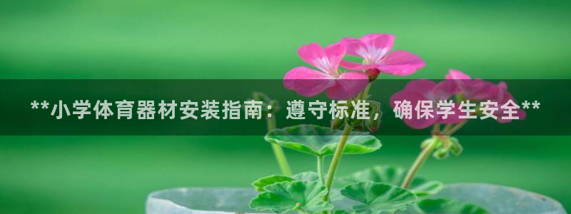 耀世娱乐如何登录平台账号：**小学体育器材安装指南：