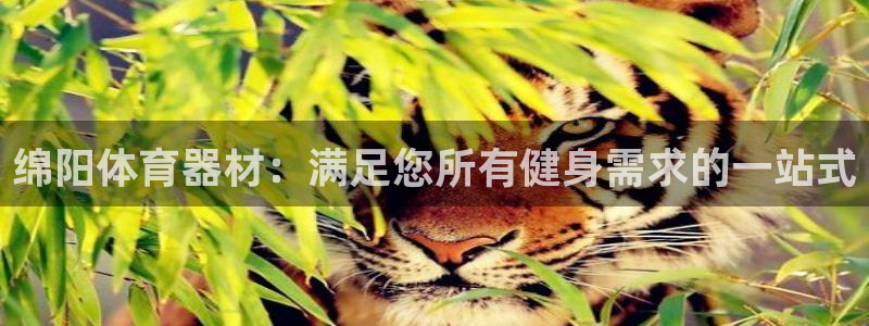 耀世天下的近义词是什么：绵阳体育器材：满足您所有健身