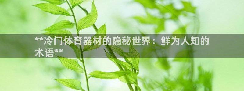 耀世娱乐官网网站入口：**冷门体育器材的隐秘世界：鲜