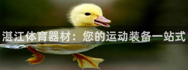 耀世娱乐扣款是7IIII扣什么：湛江体育器材：您的运