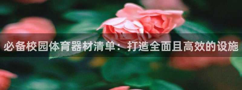 耀世娱乐科学：必备校园体育器材清单：打造全面且高效的