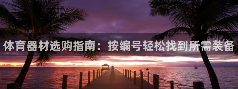 耀世天下的是什么意思：体育器材选购指南：按编号轻松找