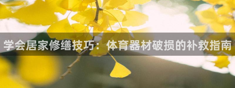 耀世娱乐登录注册流程：学会居家修缮技巧：体育器材破损