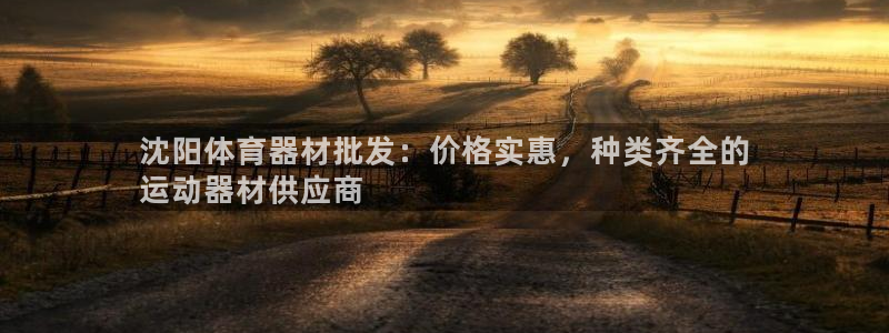 耀世挑战第三关怎么过：沈阳体育器材批发：价格实惠，种