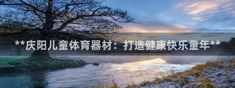 耀世娱乐总代：**庆阳儿童体育器材：打造健康快乐童年