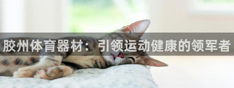 耀世娱乐登录注册：胶州体育器材：引领运动健康的领军者