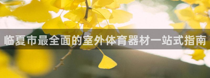 耀世登场后面一句：临夏市最全面的室外体育器材一站式指