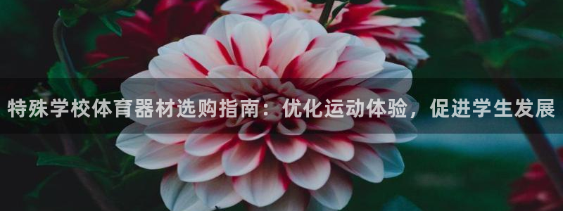 耀世娱乐挂机教程下载：特殊学校体育器材选购指南：优化