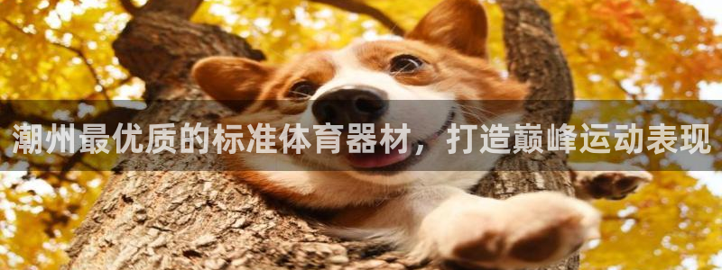 耀世平台主管代理怎么做：潮州最优质的标准体育器材，打