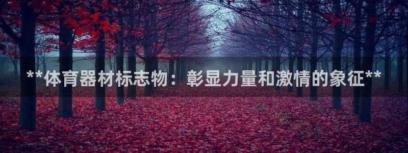 耀世平台是黑台子吗知乎：**体育器材标志物：彰显力量
