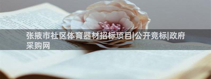 耀世娱乐辅助软件下载安卓：张掖市社区体育器材招标项目