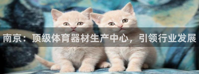 耀世平台最新注册地址是哪里：南京：顶级体育器材生产中