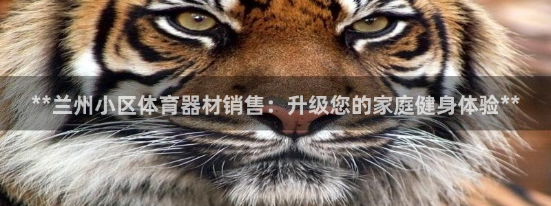 耀世来袭什么意思：**兰州小区体育器材销售：升级您的
