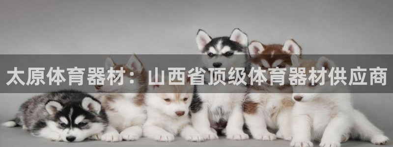 耀世平台注册网址是多少号：太原体育器材：山西省顶级体
