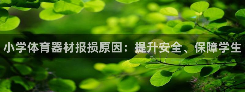 耀世娱乐平台注册地址在哪里：小学体育器材报损原因：提