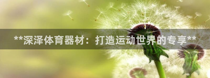 耀世集团董事长是谁啊：**深泽体育器材：打造运动世界