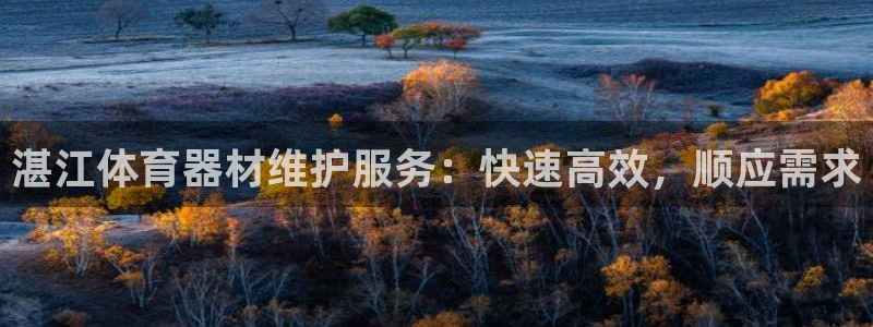 耀世娱乐是正规还是仿真：湛江体育器材维护服务：快速高