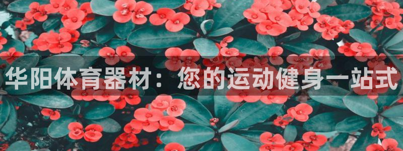 耀世娱乐挂机赚钱吗：华阳体育器材：您的运动健身一站式
