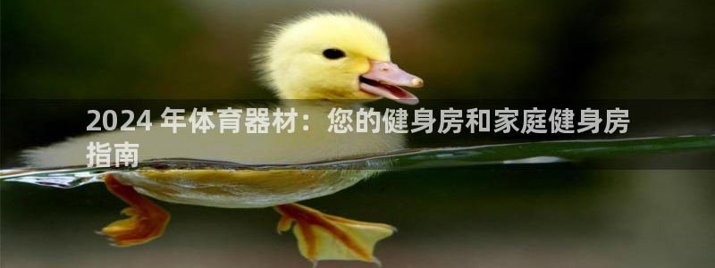 耀世国际平台正规吗：2024 年体育器材：您的健身房