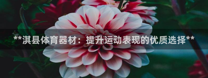 耀世集团做什么的：**淇县体育器材：提升运动表现的优