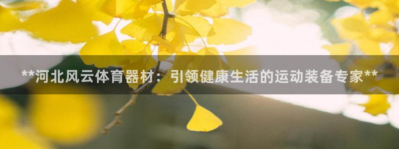 耀世娱乐好不好：**河北风云体育器材：引领健康生活的