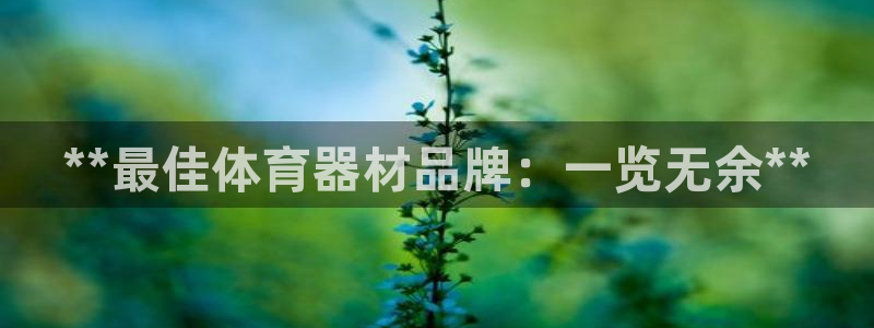 耀世平台注册登录：**最佳体育器材品牌：一览无余**