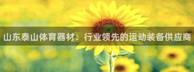 耀世官网：山东泰山体育器材：行业领先的运动装备供应商