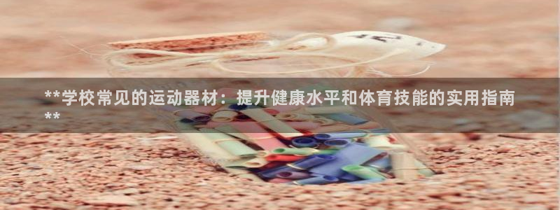 耀世平台的运营模式分析：**学校常见的运动器材：提升