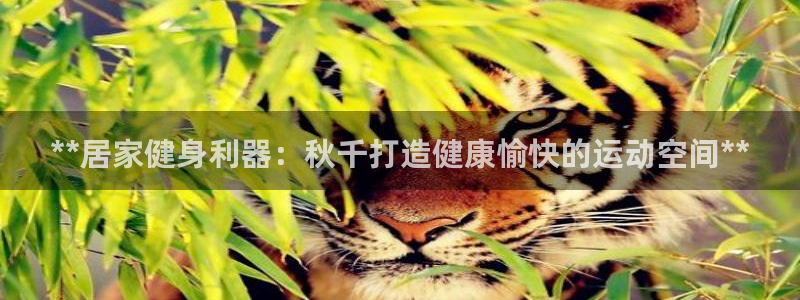 耀世娱乐安全吗可靠吗：**居家健身利器：秋千打造健康