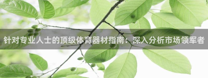 耀世平台代理注册登录不了：针对专业人士的顶级体育器材