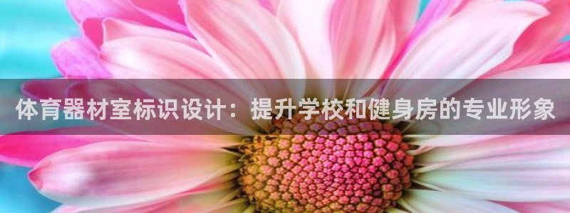 耀世娱乐登录地址在哪：体育器材室标识设计：提升学校和