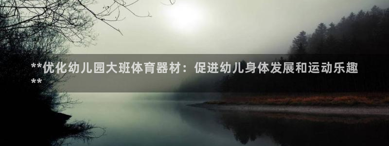 耀世平台注册网址是什么意思：**优化幼儿园大班体育器