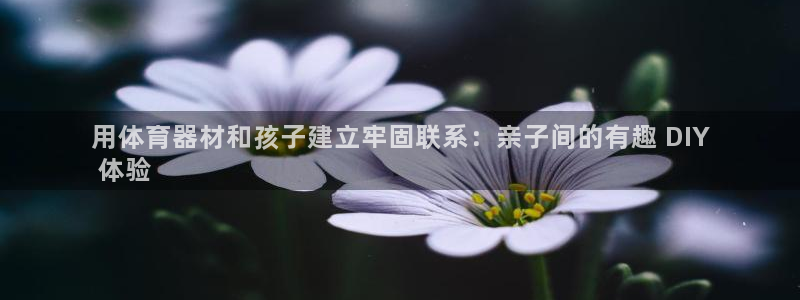 耀世国际平台正规吗可靠吗知乎：用体育器材和孩子建立牢