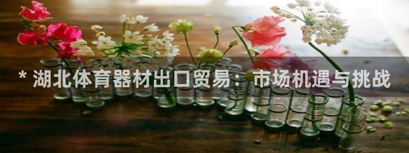 耀世的意思：* 湖北体育器材出口贸易：市场机遇与挑战