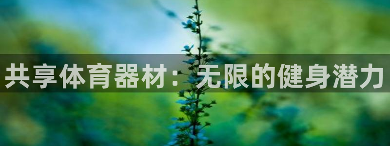 耀世平台客服24小时在线咨询：共享体育器材：无限的健