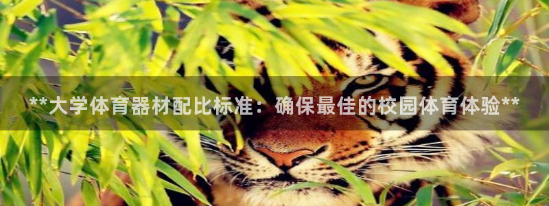 耀世集团董事长耀阳：**大学体育器材配比标准：确保最