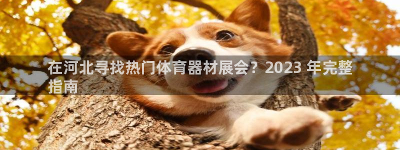 耀世平台拿什么输入账号密码呢：在河北寻找热门体育器材