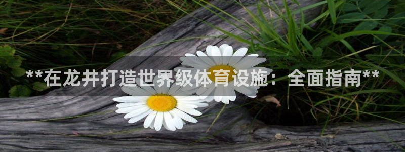 耀世平台负责人是谁：**在龙井打造世界级体育设施：全