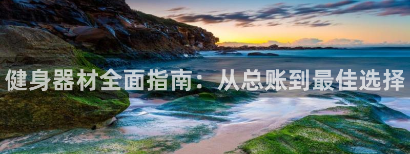 耀世集团王总简介：健身器材全面指南：从总账到最佳选择