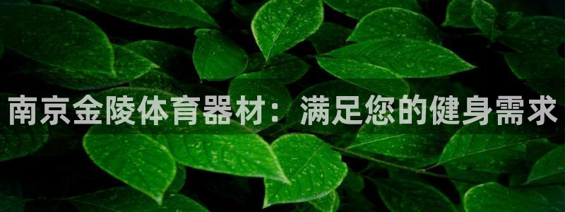 耀世娱乐注册登陆：南京金陵体育器材：满足您的健身需求