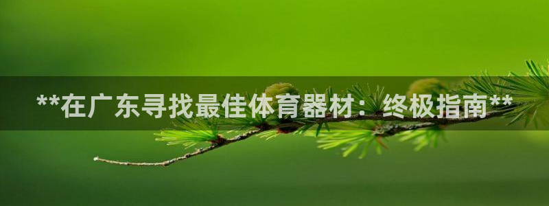 耀世娱乐官网网站下载：**在广东寻找最佳体育器材：终
