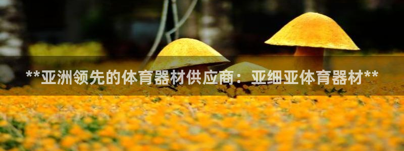 耀世平台马 5O6917 耀世：**亚洲领先的体育器