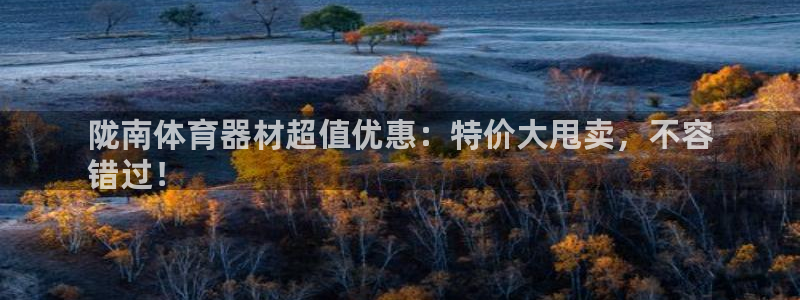 耀世辉煌：陇南体育器材超值优惠：特价大甩卖，不容
错