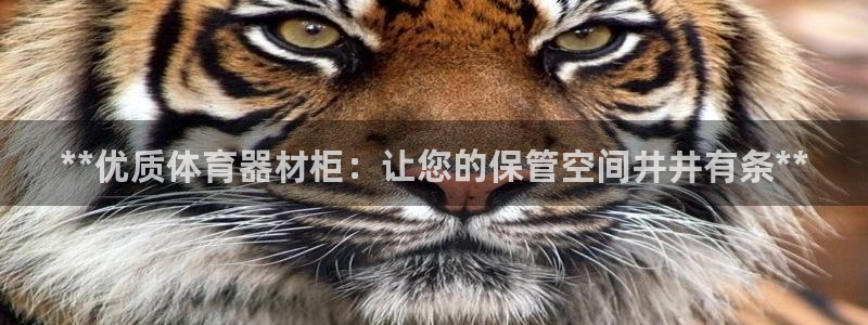 耀世娱乐辅助软件下载安装：**优质体育器材柜：让您的